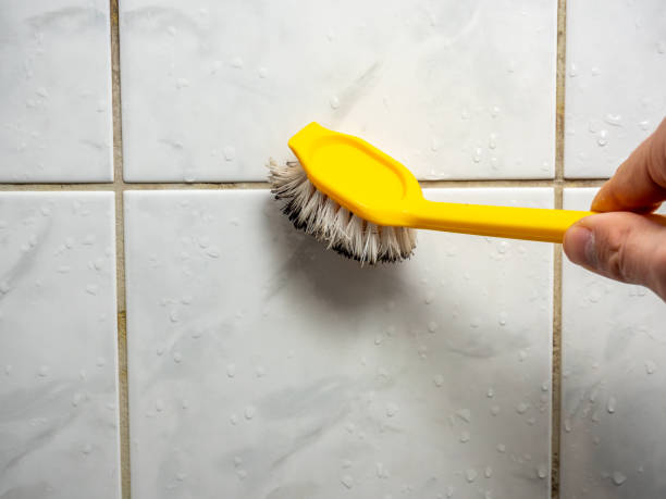 Mold Testing and Removal in Mount Juliet, TN