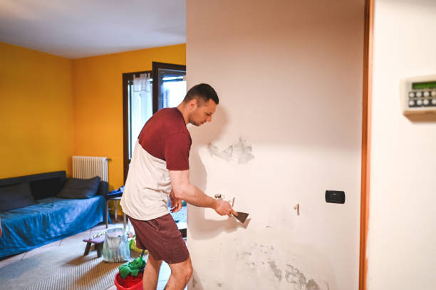 Best Home Mold Removal  in Mount Juliet, TN
