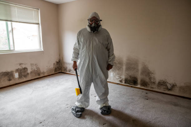 Home Mold Removal in Mount Juliet, TN