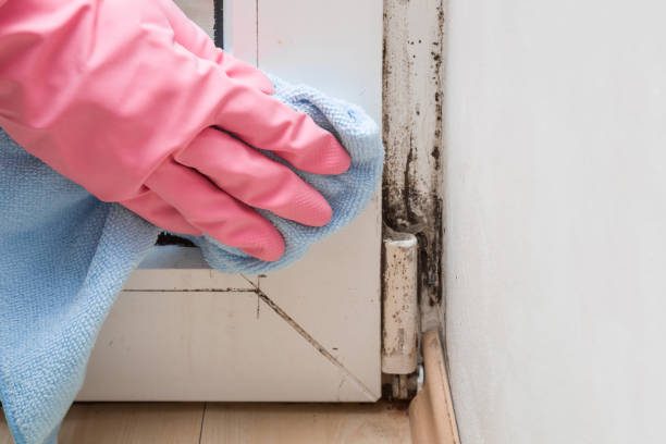Water Damage Restoration in Mount Juliet, TN